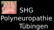 polyneuro logo260627 4