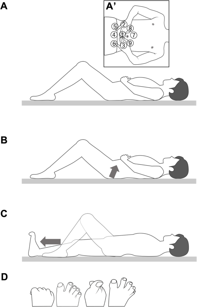physio260701 journal.pone.0345749.g002